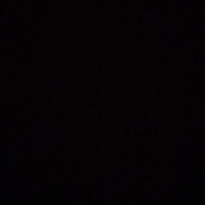 Meet your Posher, Dilara